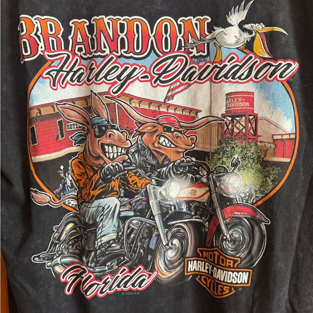 Harley-Davidson Black Tee with Colorful Motorcycle Graphic Brandon Florida
